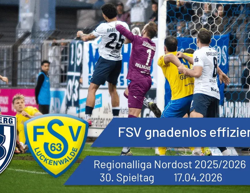 FSV gnadenlos effizient
