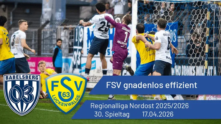FSV gnadenlos effizient